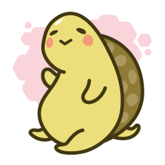リクガメ生活
