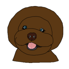 アフロ犬ティンク