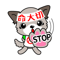【関西弁】たぬき?の殺処分ゼロ運動
