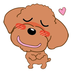 Poodle YaoYao