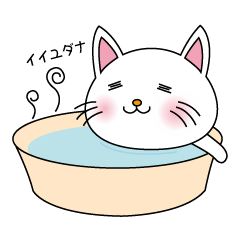 しろねこちゃん