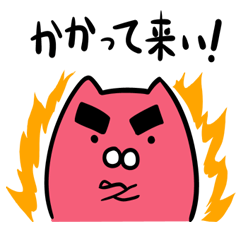 ぬこぬこ　第3弾