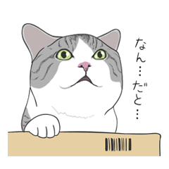 かわいいねこ