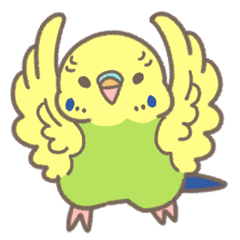 セキセイだよ!