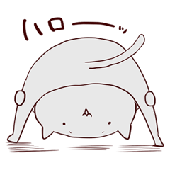 はいいろの猫っぽいヤツら