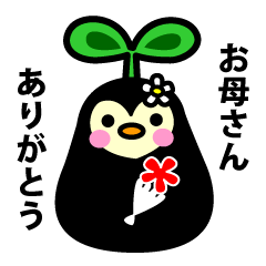 風船かずらのタネ