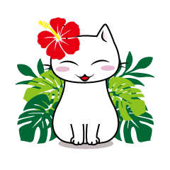 南国の猫