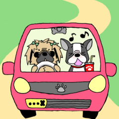 ペキペキペキニーズ