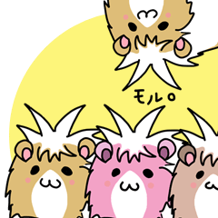 モルモットのたんぽぽ