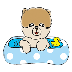 ポメ太