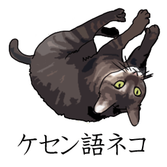 ケセン語ネコ
