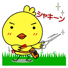 美容師びよこ