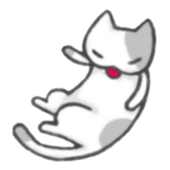 ねこの日常。