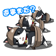 土鍋ねこ「どにゃ兵衛」第2弾