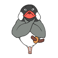 拙者、鳥。