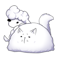 ぜんたろ＆りもにゃ