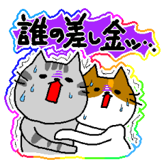 昼ドラの奥様風な猫