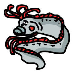 リュウグウノツカイ?