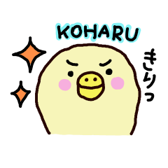 こはるがいっぱい