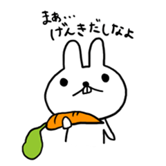 白いウサギ