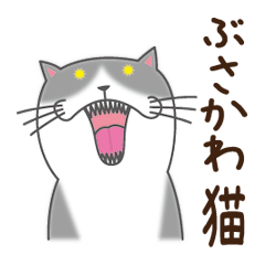 ぶさかわ猫