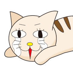 気になるネコ