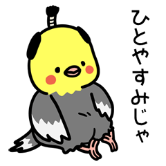 ちょんまげオカメどの