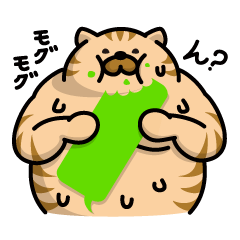 汗ネコ その2