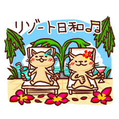 ねこの肉球@ハワイ編