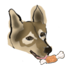 ミックス犬はっぴーのとある一週間