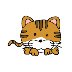丸猫