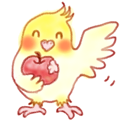オカメインコの、りんごちゃんとお友達♪