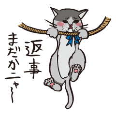 あなたのニャコ(猫)