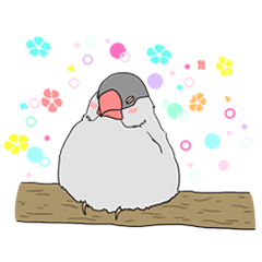 世界の鳥スタンプ