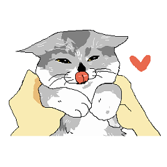 猫と犬