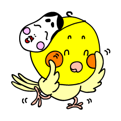 オカメインコのピース