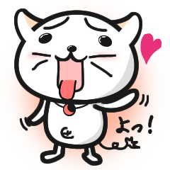 にゃ太郎の1日