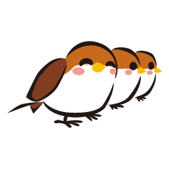 スズメヅメ