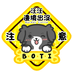 Border BoTi