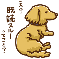 続・愛犬かるびの事情