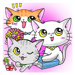 ねこのす