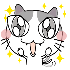 Big Cat!