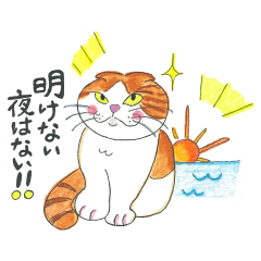 猫のシャビと仲間たち