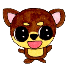 マロ眉チワワの大和クン