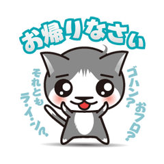 ハチワレ猫 エイト