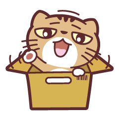 箱の猫
