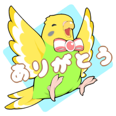 インコびより