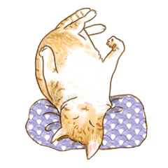 Oh, my cats! リアルな和ねこ達スタンプ