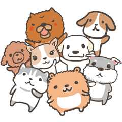 Boson X DOGS
