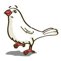 Java Sparrow